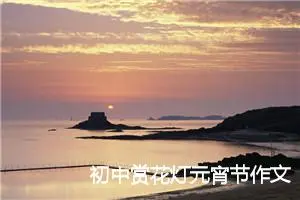 初中赏花灯元宵节作文【三篇】_初中节日作文