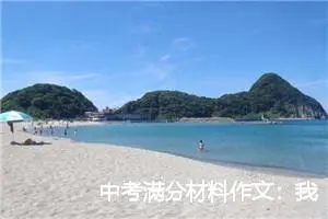中考满分材料作文：我的视线_作文600字_中考材料作文