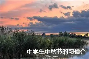 中学生中秋节的习俗介绍作文800字_初中节日作文