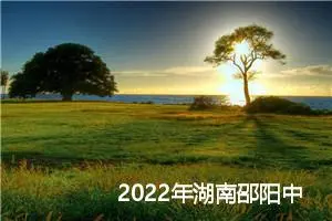 2022年湖南邵阳中考满分作文记叙文：阅读让我感动_作文1250字_中考作文