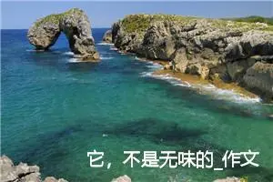 它，不是无味的_作文600字_初中说明文作文