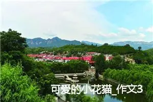 可爱的小花猫_作文350字_初中说明文作文