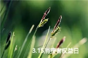 3.15消费者权益日，我们一起来维权！初中315维权的作文怎么写？_作文3000字_初中节日作文