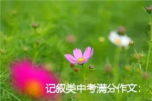 记叙类中考满分作文：语文课上_作文1350字_中考作文
