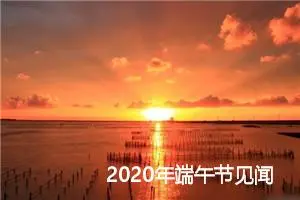 2020年端午节见闻作文600字_初中节日作文