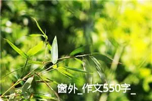 窗外_作文550字_初中说明文作文