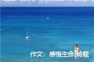 作文：感悟生命(转载)
