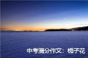 中考满分作文：栀子花开_作文850字_中考作文