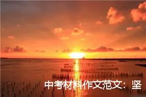 中考材料作文范文：坚持——燃烧成功的火种_作文800字_中考材料作文