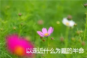 以走近什么为题的半命题作文750字_中考半命题作文