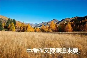 中考作文预测追求类：追求梦想_作文650字_中考作文预测