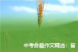 中考命题作文精选：留在心底的风景_作文800字_中考命题作文
