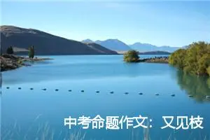 中考命题作文：又见枝头吐新芽_作文1050字_中考命题作文