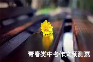 青春类中考作文预测素材：我为青春画上一个句号_作文2700字_中考作文预测