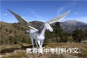 宽容类中考材料作文：一颗宽容的心_作文450字_中考材料作文