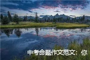 中考命题作文范文：你在我心里_作文600字_中考命题作文