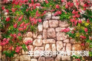 生命类的中考作文预测：昨天，今天和明天_作文550字_中考作文预测