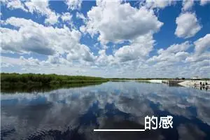 ________的感觉，真好_作文550字_初中综合作文