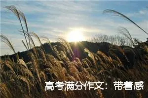 高考满分作文：带着感动出发_高考满分作文
