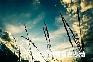 2020年湖南高考满分作文范文：南郭先生奋发记_高考满分作文