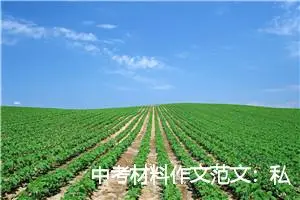 中考材料作文范文：私人诊所_作文700字_中考材料作文