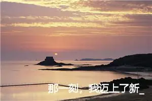 那一刻，我迈上了新_____作文500字_初中综合作文
