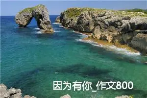 因为有你_作文800字_初中综合作文