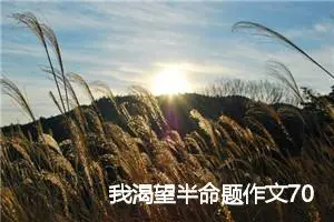 我渴望半命题作文700字4篇_中考半命题作文