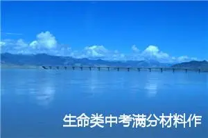 生命类中考满分材料作文：俯身大地，仰观星空_作文650字_中考材料作文