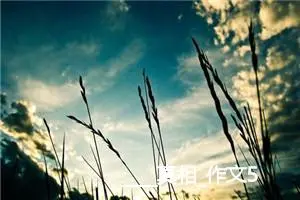 ____真相_作文500字_初中综合作文