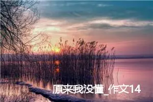 原来我没懂_作文1450字_初中综合作文