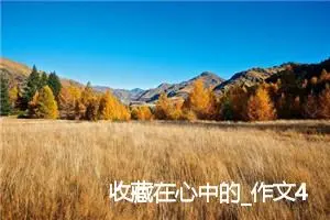收藏在心中的_作文450字_初中综合作文