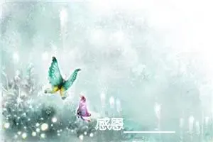 感恩_________作文700字_初中综合作文
