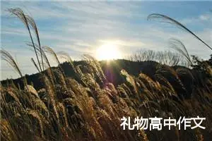 礼物高中作文