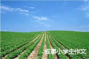 叙事小学生作文