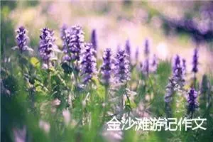 金沙滩游记作文