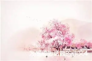 为感动为话题的作文400字