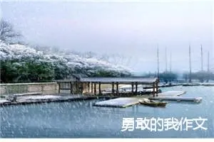 勇敢的我作文