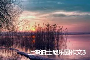 上海迪士尼乐园作文300字