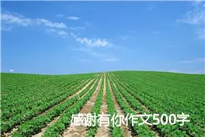 感谢有你作文500字