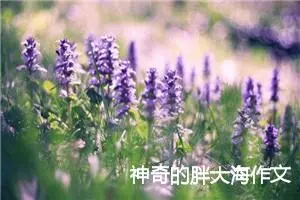 神奇的胖大海作文