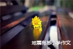 地震有感小学作文