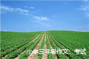 小学三年级作文：考试后