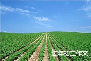 过年初二作文