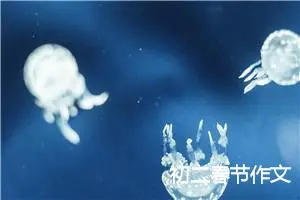 初二春节作文
