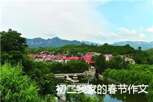 初二我家的春节作文
