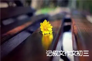 记叙文作文初三
