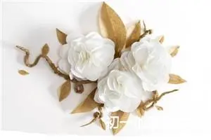 初一的春节作文