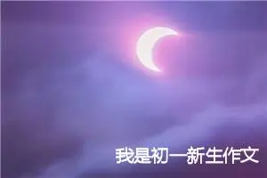 我是初一新生作文