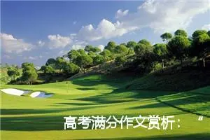 高考满分作文赏析：“醴泉”无价_高考满分作文